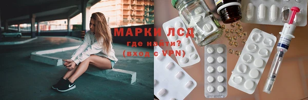 спайс Покачи