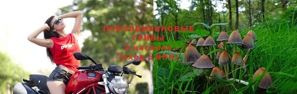 дурь Абаза
