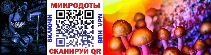 Галлюциногенные грибы MAGIC MUSHROOMS  продажа наркотиков  blacksprut ONION  Карасук 