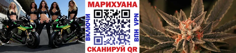 Конопля SATIVA & INDICA  darknet Telegram  Карасук 